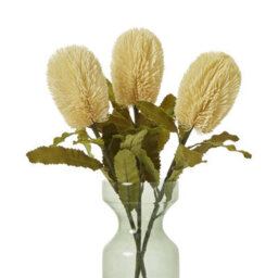 Hill Interiors Banksia Serrata Artificial Flower Cream (One Size) - thumbnail 3