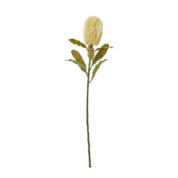 Hill Interiors Banksia Serrata Artificial Flower Cream (One Size)