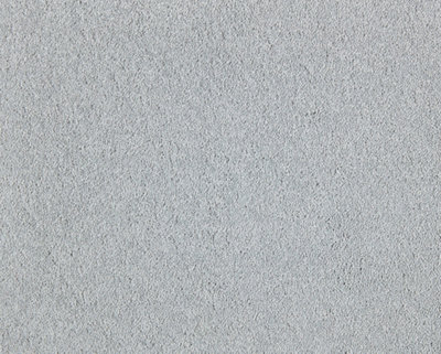 Soft Perfection Luxury Carpet By Remland (Mist, 2M X 4M) - image 1