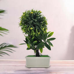 Pack 2 Artificial Bonsai Tree Small Pot Plants Brown Flowers Japanese Pine Bonsai Plant For Home Decoration - thumbnail 4