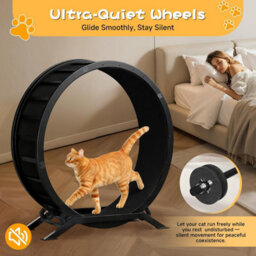 Gtplayer Cat Wheel 90 Cm Metal Large Cats Exercise Running Wheel For Indoor Cats With Teaser Removable Carpet Cat Treadmill - thumbnail 7