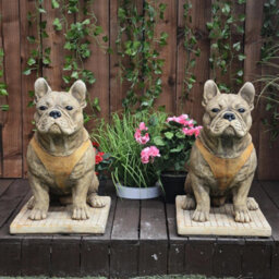 Pair Of Life Size French Bulldog Statues - thumbnail 2
