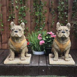 Pair Of Life Size French Bulldog Statues - thumbnail 6
