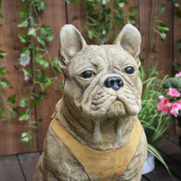 Pair Of Life Size French Bulldog Statues - thumbnail 5
