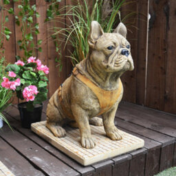 Pair Of Life Size French Bulldog Statues - thumbnail 8