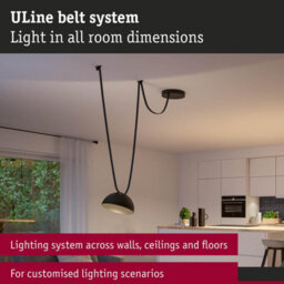 Paulmann 94614 Uline Led Pendant Luminaire Bol 300 mm 12W Black - thumbnail 4
