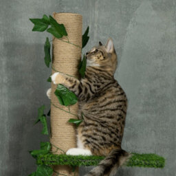 Pawhut 242Cm Floor To Ceiling Cat Tree With Leaves Scratching Post, Green - thumbnail 8