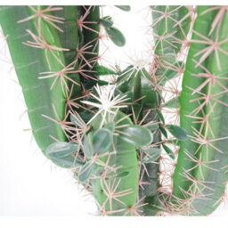 Leaf Artificial Cactus Cacti Plant Black Pot 65Cm Plants - thumbnail 2