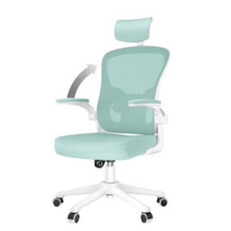 Onemill Office Desk Chair With Flip-Up Armrest, Adjustable Headrest And Lumbar Support Or Home And Office-Green