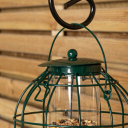 Samuel Alexander Wild Bird Seed Feeder With Squirrel Guard - thumbnail 5