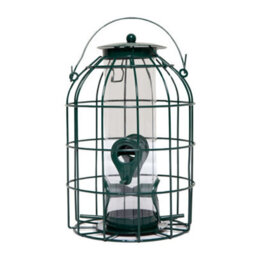 Samuel Alexander Wild Bird Seed Feeder With Squirrel Guard - thumbnail 7