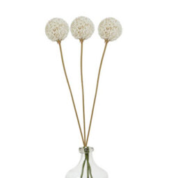 Hill Interiors The Natural Garden Collection Allium Artificial Flower White (One Size) - thumbnail 3