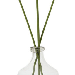 Hill Interiors The Natural Garden Collection Allium Artificial Flower White (One Size) - thumbnail 4