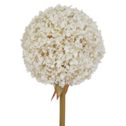 Hill Interiors The Natural Garden Collection Allium Artificial Flower White (One Size) - thumbnail 2