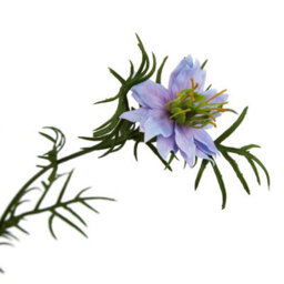 Wyld Haus Set Of 3 Purple Nigella Artificial Flower Stems 680mm - thumbnail 2