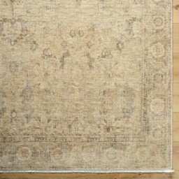 Livabliss Galey Alix Fetscher-Vintage Beige Brown Green Traditional Vintage Boho Fringe Living Dining Bedroom Rug 200 X 290 Cm Easy Care - thumbnail 6