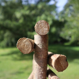 Woven Wood Top Bar Capped Hazel Hurdle Fence Panel Premium Weave - thumbnail 3