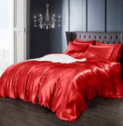 Intimates Red Satin Complete Bedding Set Duvet Cover And Pillowcase Set Double