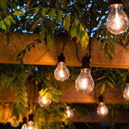 The Solar Centre Edinburgh Usb Solar Festoon Lights (Set Of 10) With Leaf Panel - thumbnail 2