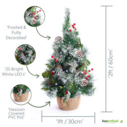 Best Artificial 2Ft - 60Cm Frosted Christmas Tree With 20 Bright White Battery Lights - thumbnail 1