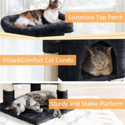 Yaheetech Black 59Cm 2-Level Cat Tree Tower With Wide Perch - thumbnail 9