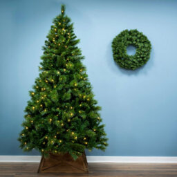 Christmas Tree World The 6Ft/180Cm Pre-Lit Majestic Dew Pine Christmas Tree With Bag - thumbnail 2