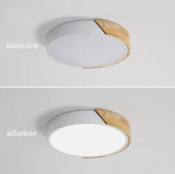 Modern Led Ceiling Light Wood Round 24W Cold White Ceiling Lamp Bedroom Office - thumbnail 5