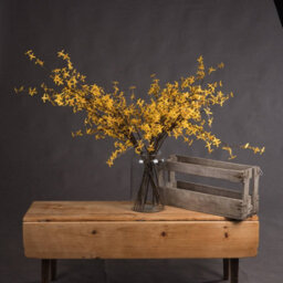 Hill Interiors Uk Homeliving Artificial Forsythia - thumbnail 1