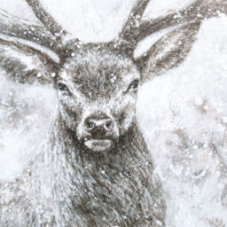 Art for the Home Autumn Stag Printed Canvas Wall Art - thumbnail 3