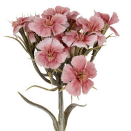 Hill Interiors Pink Dianthus Spray Artificial Flower - Plastic - L14 X W14 X H55 Cm - Pink - thumbnail 2