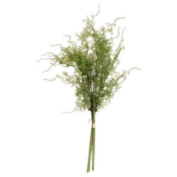 Hill Interiors Asparagus Fern Artificial Plant Green (One Size) - thumbnail 1