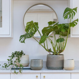 Ivyline Celeste Cream Planter H21Cm D26Cm - thumbnail 3