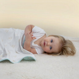 Character World Gruffalo Baby Blanket Reversible Blue White Jersey My First Throw 70Cm X 75Cm - thumbnail 3