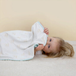 Character World Gruffalo Baby Blanket Reversible Blue White Jersey My First Throw 70Cm X 75Cm - thumbnail 4