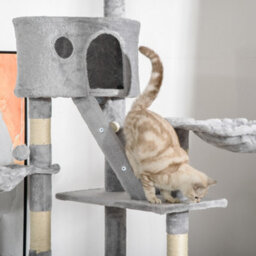 Pawhut Kitten Tower Adjustable 240-260Cm, Scratch Posts, Houses, Dark Grey - thumbnail 9