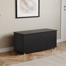 Lassic Vida Designs Leon Storage Ottoman Black Storage Bench Chest Bedroom Living Room  - thumbnail 9