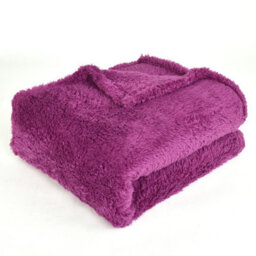 Ehc Teddy Fleece Super Soft Warm Fluffy Throw Thermal Sofa Blanket 130 X 170Cm - Purple - thumbnail 1