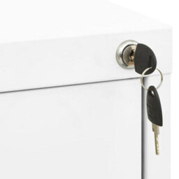 Walplus Filing Cabinet White 46X62X102.5 Cm Steel - thumbnail 6