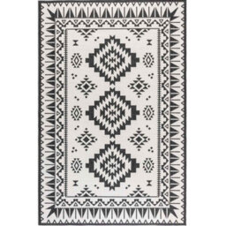 The Rugs Dynamic Reversible Indoor & Outdoor Rug Polypropylene Oriental Rug In Black - thumbnail 2