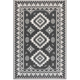 The Rugs Dynamic Reversible Indoor & Outdoor Rug Polypropylene Oriental Rug In Black