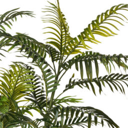 Wyld And Coco Greenhaven 180Cm Artificial Potted Fan Palm Tree, Green And Black Leaves, Indoor Decor - thumbnail 3