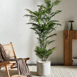 Wyld And Coco Greenhaven 180Cm Artificial Potted Fan Palm Tree, Green And Black Leaves, Indoor Decor - thumbnail 2