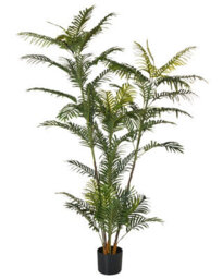 Wyld And Coco Greenhaven 180Cm Artificial Potted Fan Palm Tree, Green And Black Leaves, Indoor Decor - thumbnail 1