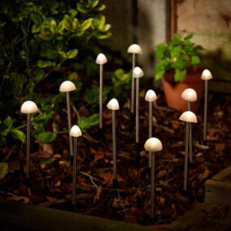 The Solar Centre Elan Solar Mushroom Lights - Set Of 12 - thumbnail 1