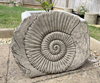 Burgess Ammonite Fossil Stone Statue Outdoor Garden Ornament Decoration British Made Sculpture - image 1