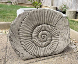 Burgess Ammonite Fossil Stone Statue Outdoor Garden Ornament Decoration British Made Sculpture