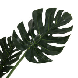 Darphe 150 Cm Artificial Tropical Monstera Plant In A Pot (Fake Plant) - thumbnail 8