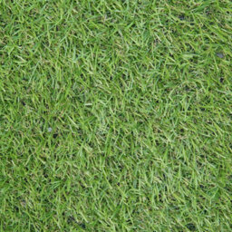 "Adelaide 20mm Outdoor Artificial Grass, Pet-Friendly Synthetic Fake Grass For Patio Garden Lawn-4M(13'1"") X 2M(6'6"")-8M²" - thumbnail 8