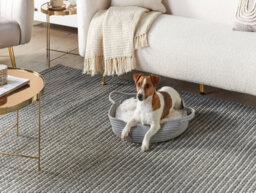 Beliani  Pet Bed Dalaman Cotton Grey - thumbnail 2