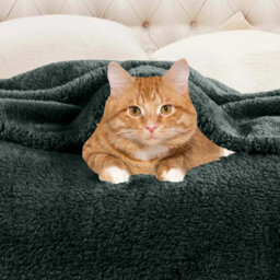 Ameha Fleece Plain Blanket, Lightweight & Reversible Throw For Travel, Bed & Sofa Blanket, Emerald Double 150X200Cm - thumbnail 2